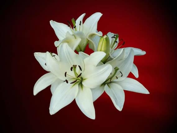 Derry Death Notices - Morning- Wednesday, April 8, 2026