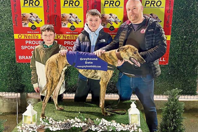 Derry Greyhounds: Galliagh Johnny and Dakota Star Sparkle in Brandywell ...