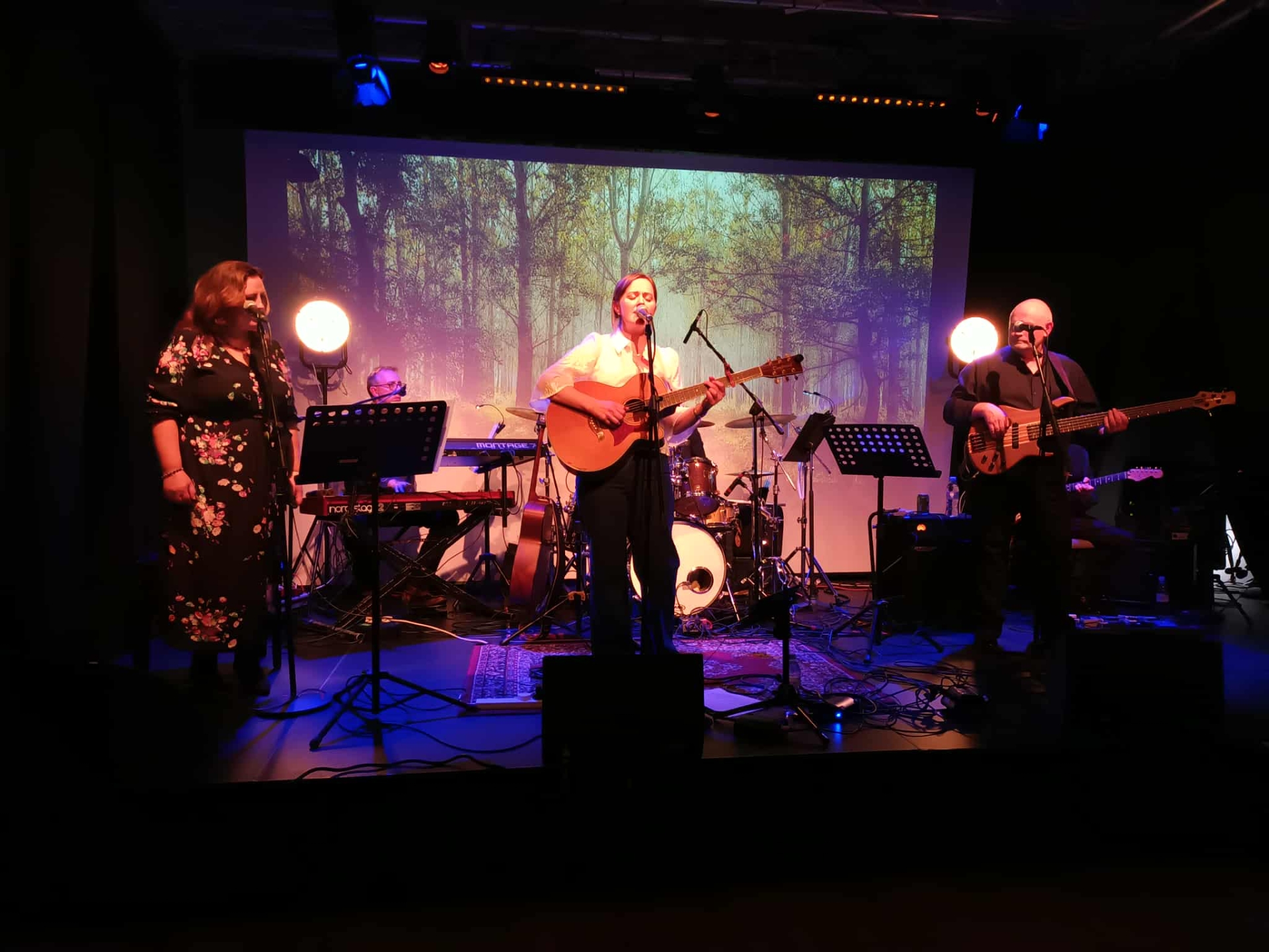 Night of song dedicated to Nanci Griffith to be celebrated in Roe ...