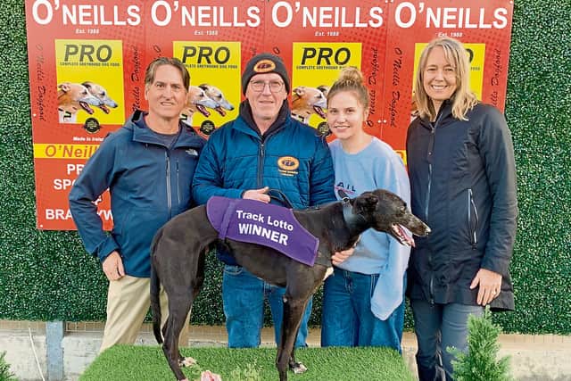 Derry Greyhounds: Catunda Quinn wins Signet Ace at Stud Trophy