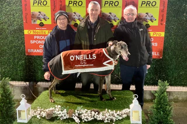 Derry Greyhounds: Titanic effort from Gift lands top sprint at Brandywell