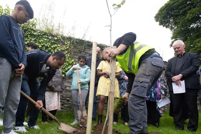 ‘Student Trees’ planted in memory of Derry pupils Reuven and Sebastian
