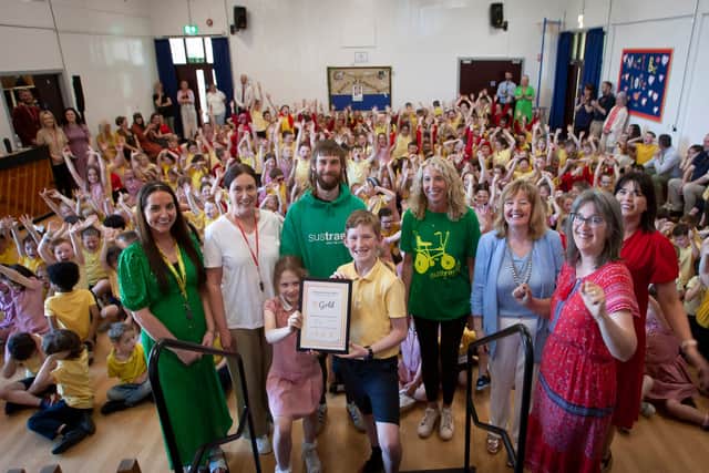 "Miss Lynch and the children involved with the Eco Committee at Steelstown Primary, along with parents and countless other teachers have worked so hard over the past four years to make that a reality, and this award is justified recognition for all their efforts.”