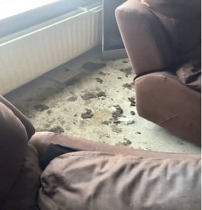 The unhygienic conditions the dogs were found in in June 2022.