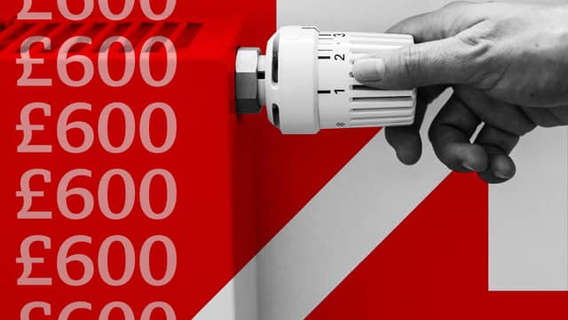 'Confusion' surrounding £600 Energy Support Scheme.