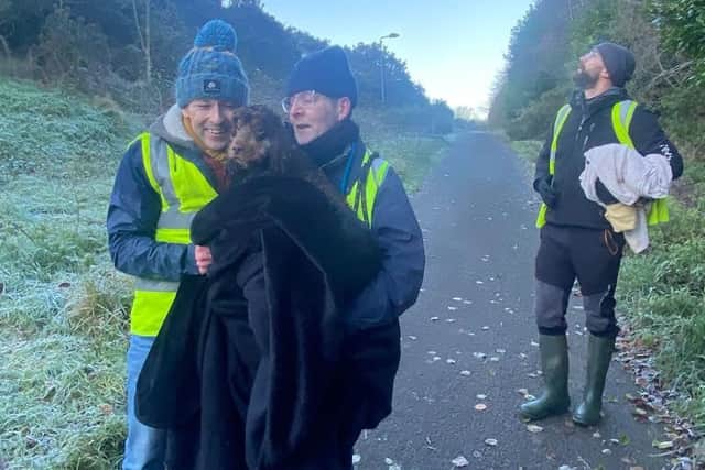 A thermal drone was deployed by charity Lost Paws NI in the extensive search for the elusive rescue dog as the community in Dundonald and beyond mobilised in the days that followed.