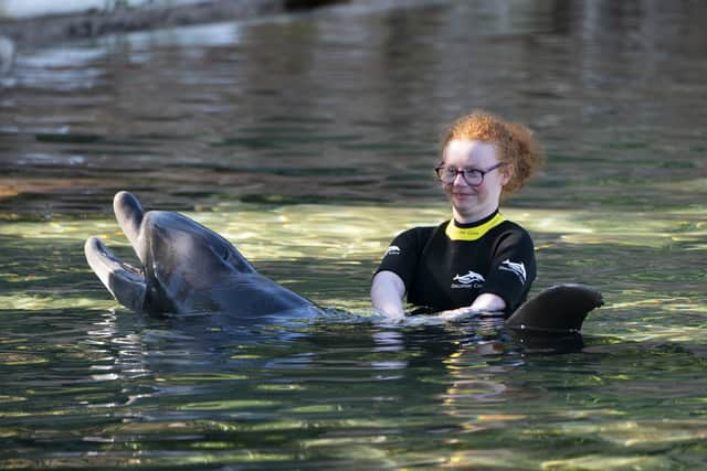 During their penultimate trip, the children got the opportunity swim with dolphins at Discovery Cove in Orlando on Sunday.