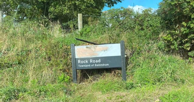 Damage has been caused to dual language road signage in the Moneymore and Loup areas.