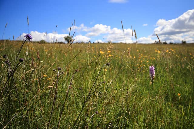 The expanded site now covers 258 hectares.