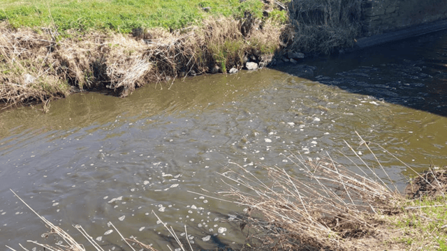 The scene on the Ballinderry River following the spill.