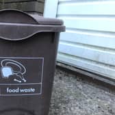 The smaller food waste bins which are currently used.