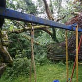 The tree landed on top of a trampoline and swings.