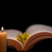 Derry Death Notices - Wednesday, October 28, 2026