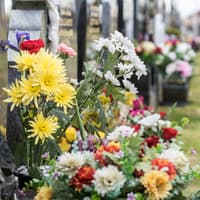 Winter opening hours to take effect at all Derry and Strabane cemeteries