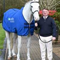 County Derry graduate recognised among UK's top equine student researchers