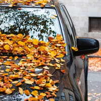Simple 30 second check which could help drivers avoid hefty fine