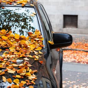 CompareNI.com is urging motorists to clear fallen leaves from their windscreens and windows before driving.