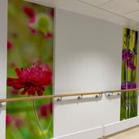 IN PICTURES: Photography competition winners celebrated at NW Cancer Centre