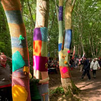 Roe Valley Country Park to burst into colour for Stendhal Community Yarnbombing fundraiser