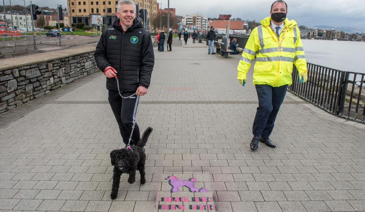 From today, it is illegal for pet owners not to have their dogs on a