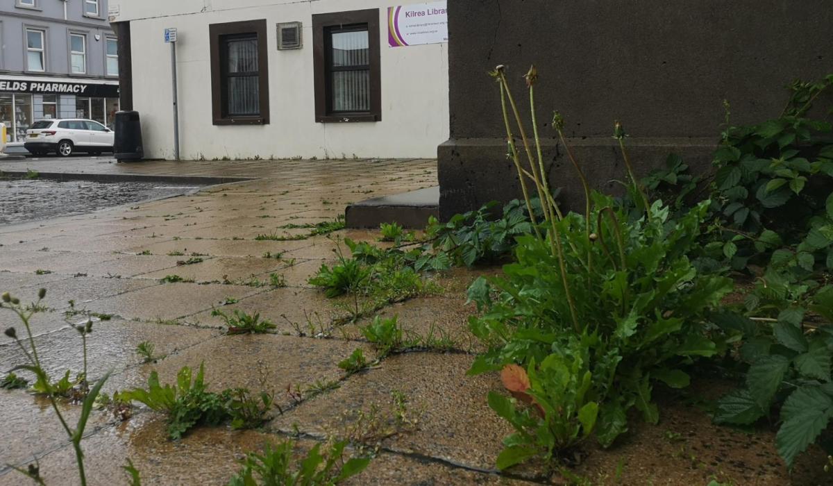 Council grass cutting and weeding 'the worst in a long time' Derry Now