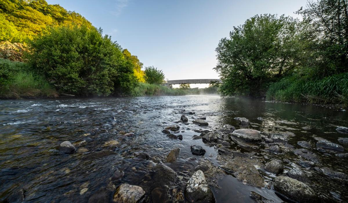 Make nature your playground this summer in the Faughan Valley Woodlands