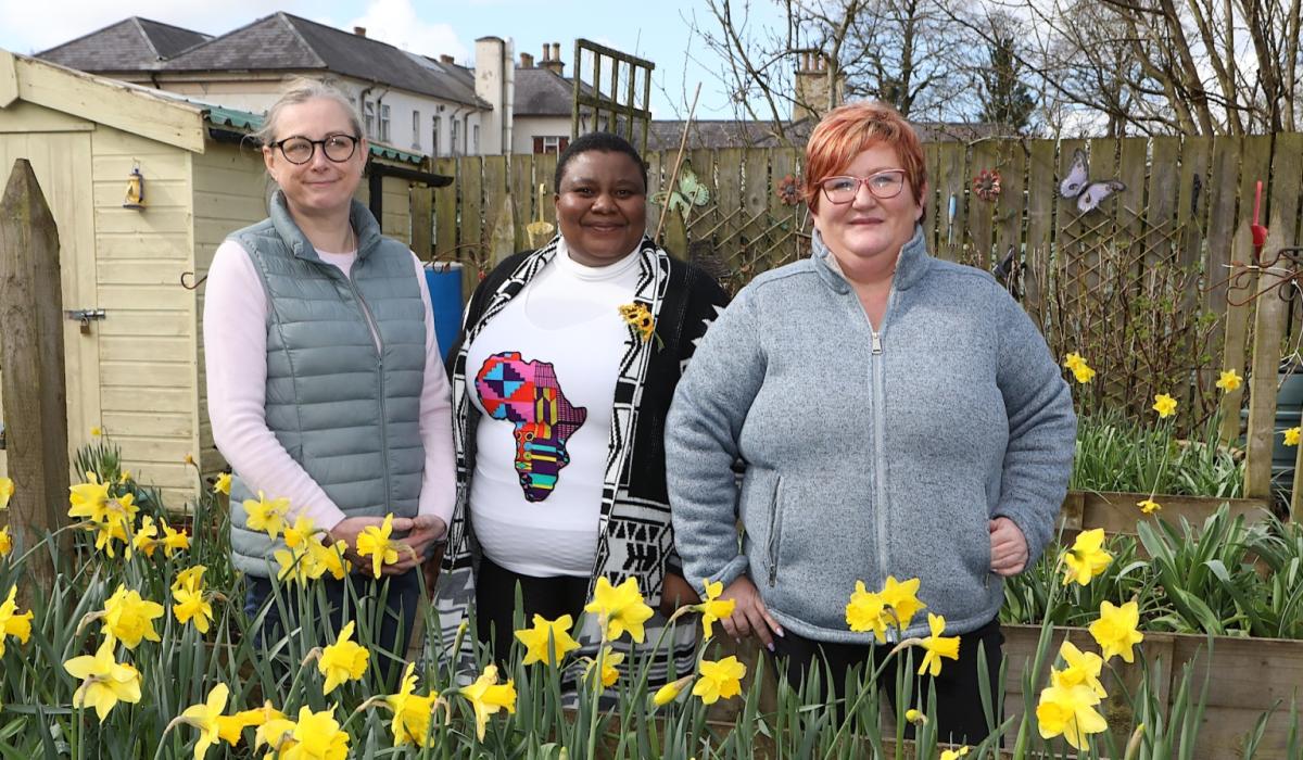 Derry Social Workers making a change in the local community Derry Now