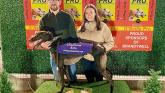 Derry Greyhounds: Diego's Manna is the star of Greyhound Data Gala Night