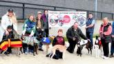 WATCH: Brandywell Greyhound Supporters Group champions Council’s 'Green Dog Walker' initiative