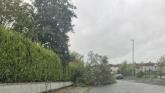 Number of trees blocking Derry roads as Storm Amy hits