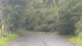 Thousands affected by power outages across County Derry as Storm Amy takes hold