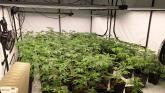 Four arrested following 'cannabis factory' discovery in Derry
