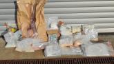 Man (22) and teenage boy (17) arrested following Draperstown drugs seizure