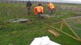 County Derry prison social enterprise offers sustainable native trees supporting reform and conservation