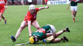 IN PICTURES: Derry get off the mark with Mayo win
