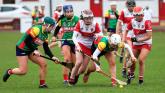 IN PICTURES: xxxxx GAA