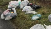 Causeway Council calls on its residents to help reduce litter and dispose of waste responsibly