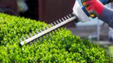 Green-fingered Co Derry residents could face &pound;5,000 fine for cutting hedges