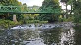Roe Valley angler expresses fears that local rivers are being 'poisoned'