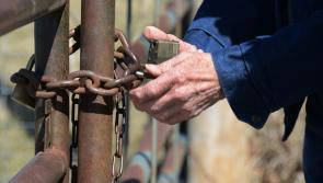 Farmers urged to review security following recent reports of sheep and cattle thefts