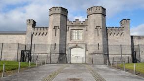 UNCOVERED: Figures of Irish recidivism rates discussed in Dáil before summer recess