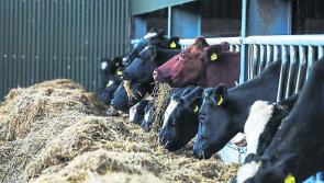 The British Chancellor&rsquo;s budget on Wednesday has created anxiety and uncertainty for the farming community in the North
