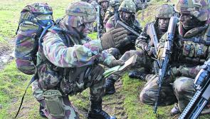 US arms for Ukraine won't pass through Shannon assures Minister