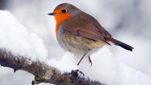 LATEST: Forecasters say that snow is on its way