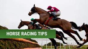 Five horses worth a bet at Cheltenham next week 
