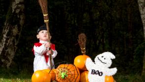 Fireworks and frightening characters set for Halloween