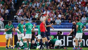 Joe Schmidt names Ireland team to face New Zealand