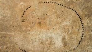 4,000-years-old 'enclosure' in Galliagh amongst exciting new archaeological discoveries
