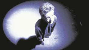 The Bovedy Illuminations to light up Seamus Heaney HomePlace this weekend