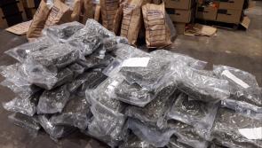 Dairy farmer linked to organised crime jailed over €730,000 cannabis haul